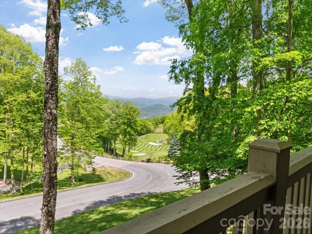 15 Ivy Point Lane Burnsville, NC 28714