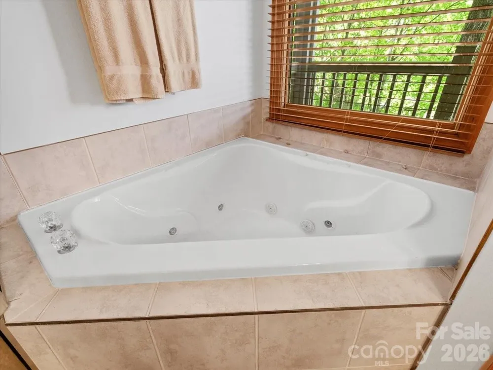 15 Ivy Point Lane Burnsville, NC 28714