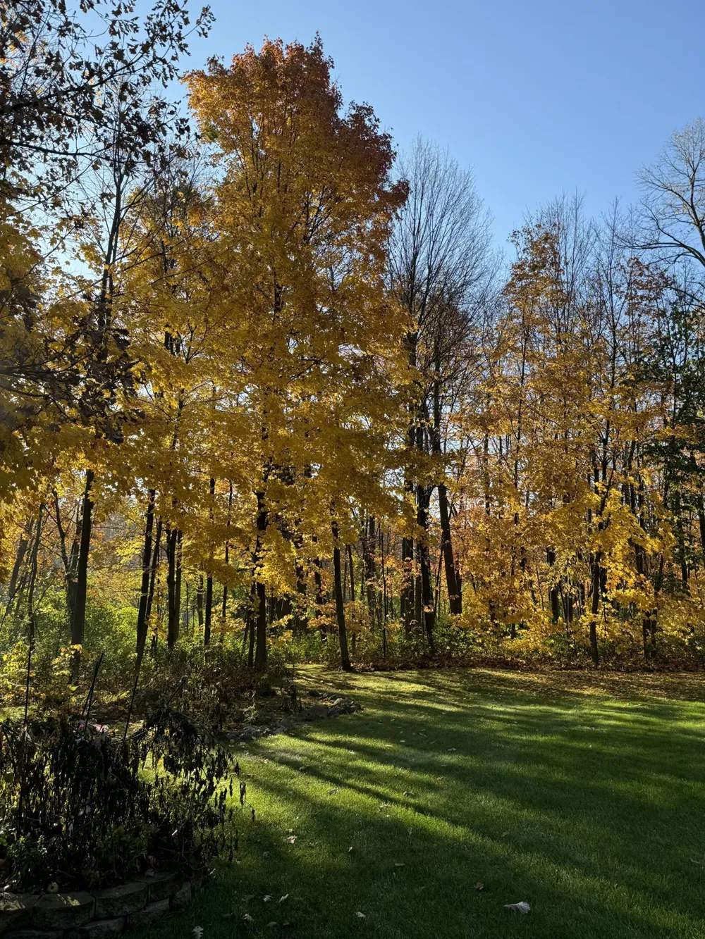 16705 Par Circle SW Pine City, MN 55063