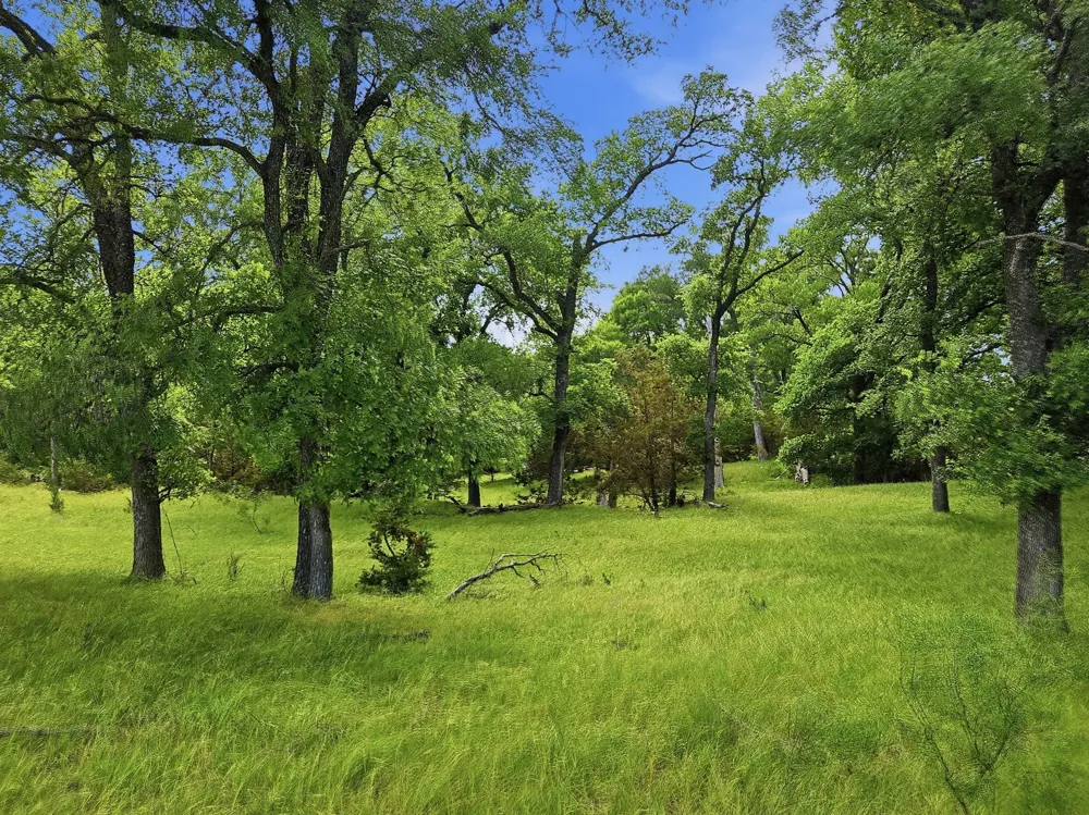 11126 Fm 581 E Lometa, TX 76853