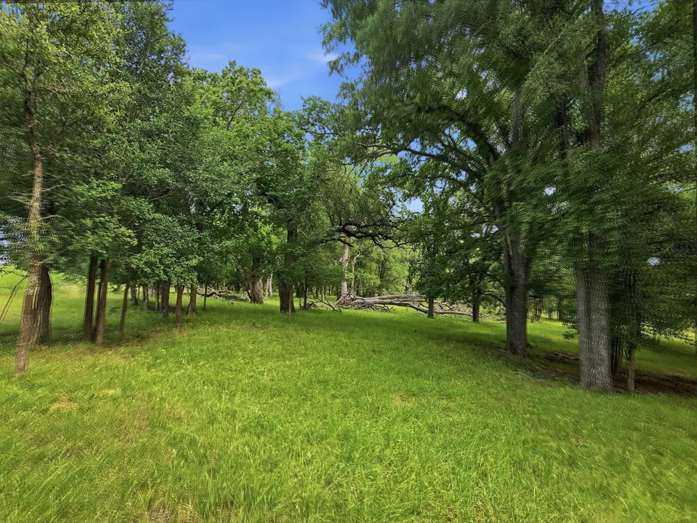 11126 Fm 581 E Lometa, TX 76853