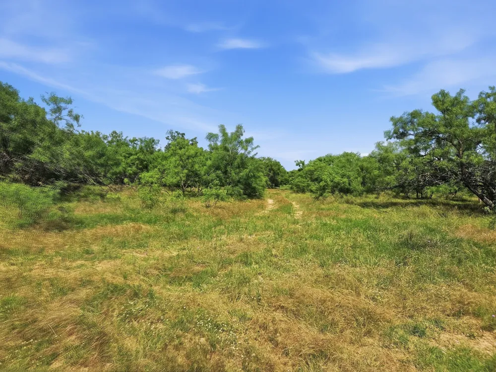 11126 Fm 581 E Lometa, TX 76853