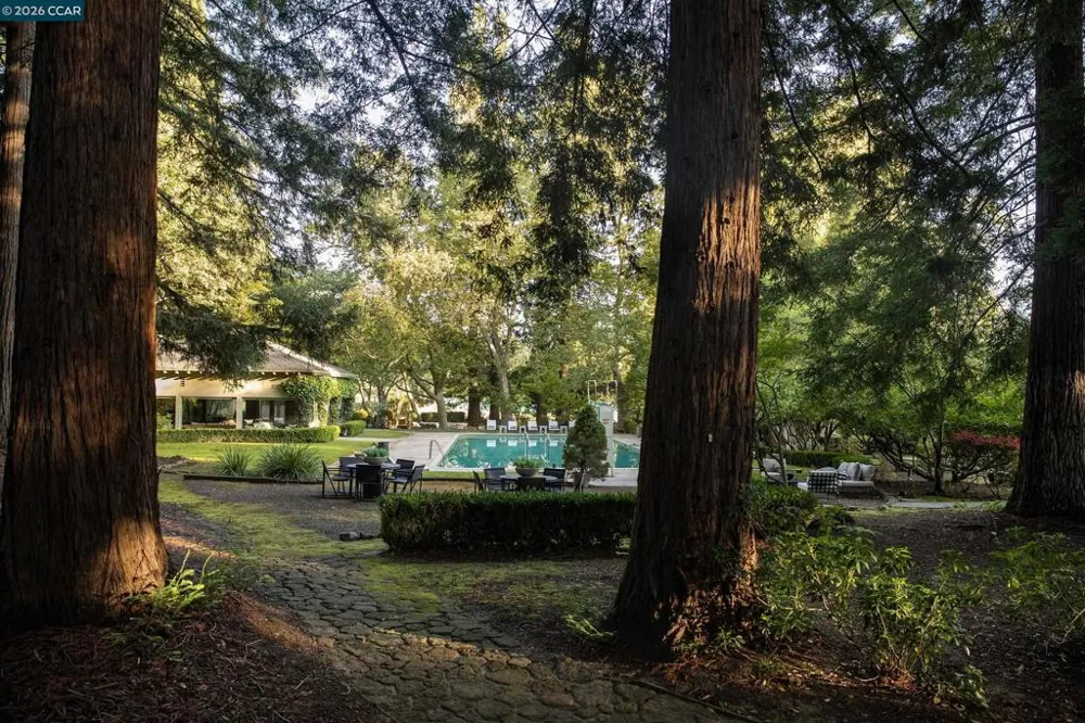 300 Camille Ave Alamo, CA 94507