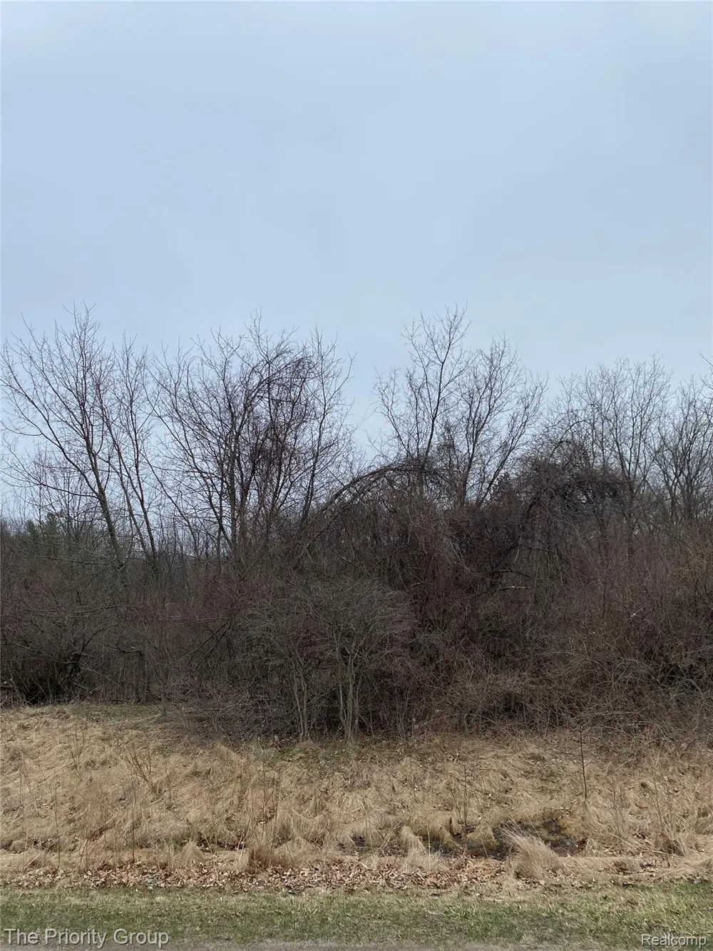 160 Great Pines Drive Oxford Charter Township, MI 48371