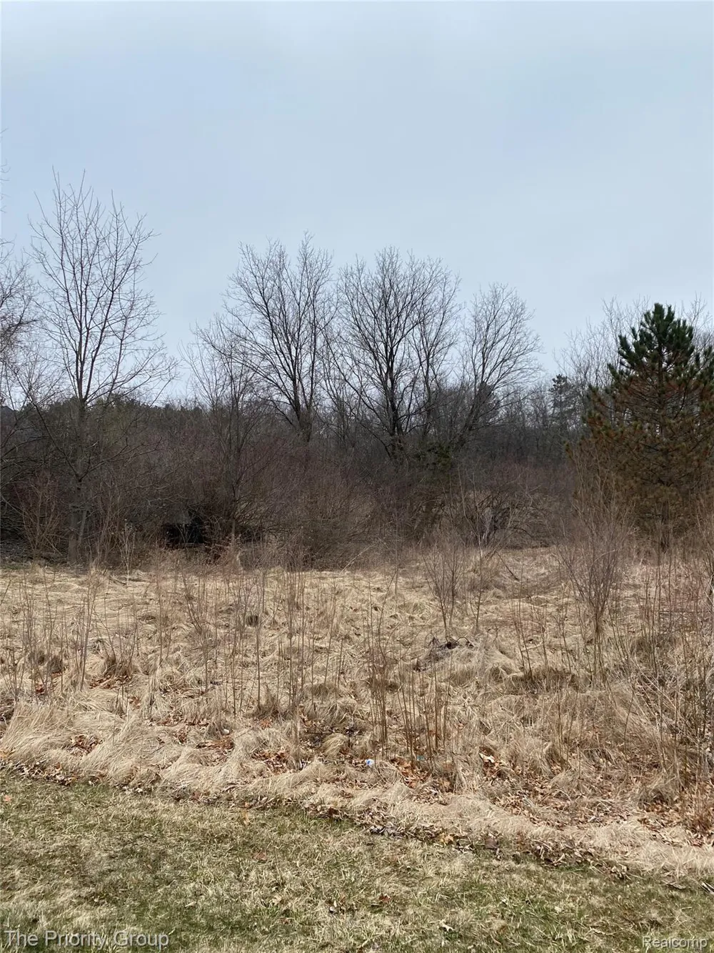 160 Great Pines Drive Oxford Charter Township, MI 48371