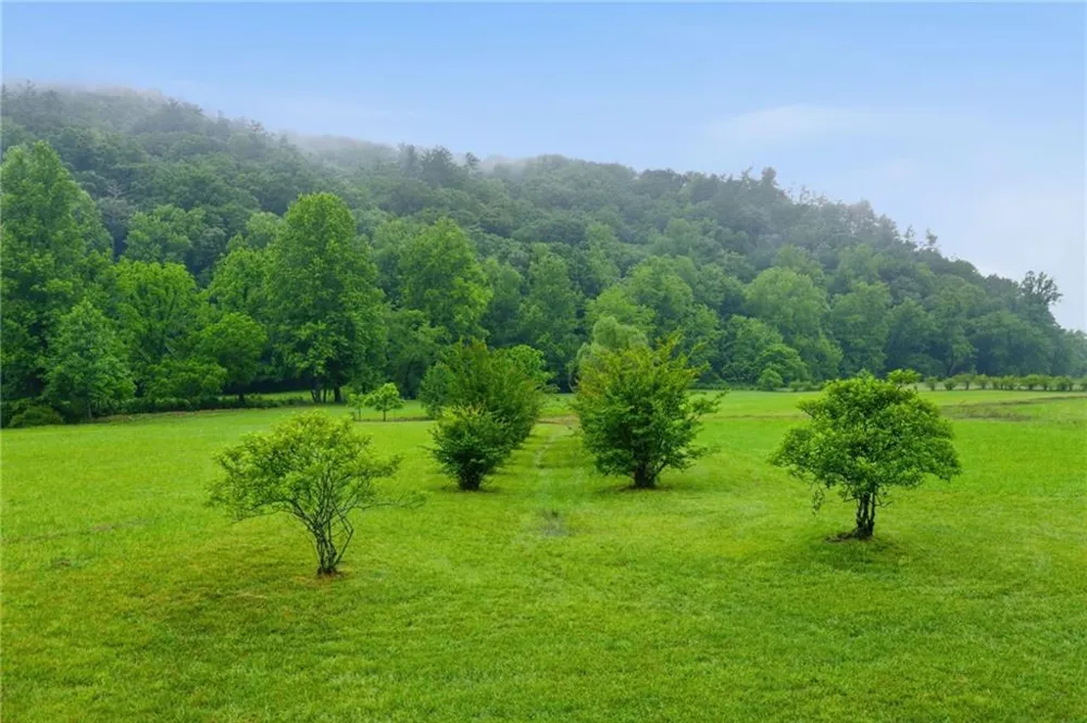 6924 Warwoman Road Clayton, GA 30525