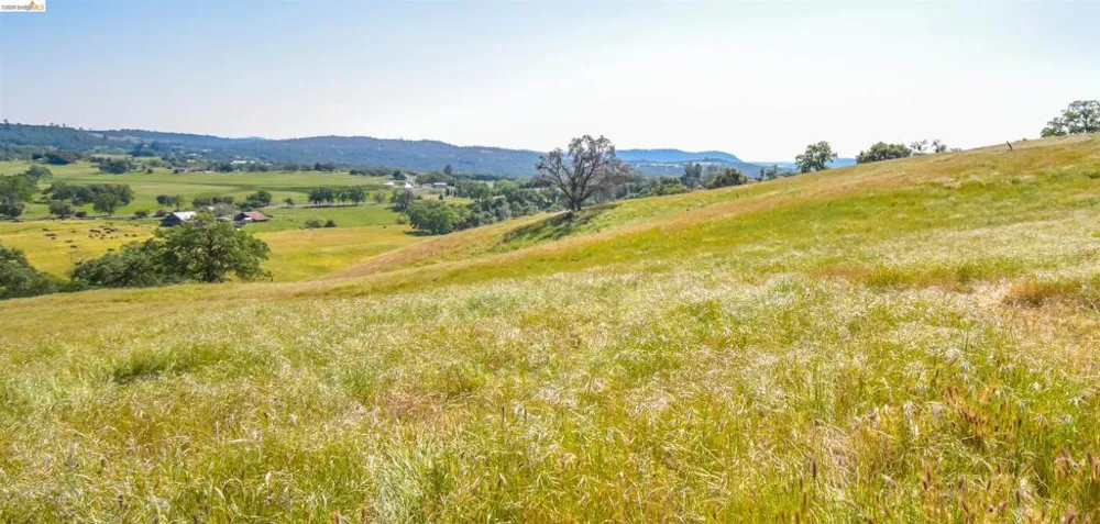 9436 Fraguero Sonora, CA 95370