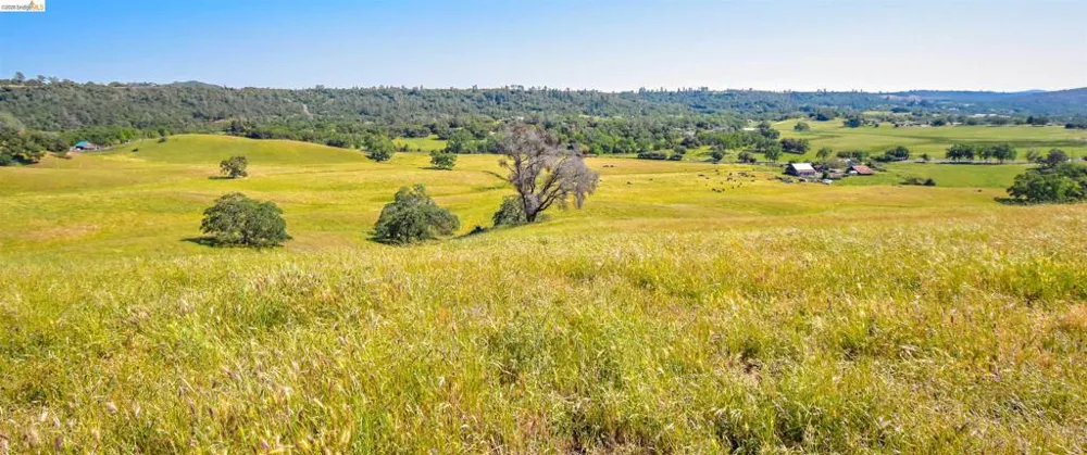 9436 Fraguero Sonora, CA 95370
