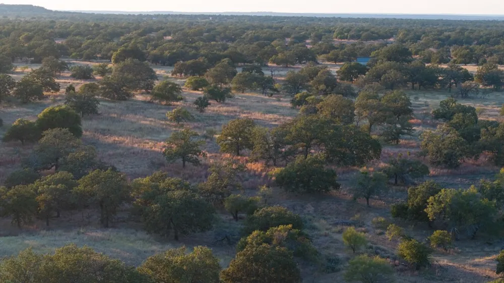 Address Not Shown Mason, TX 76842