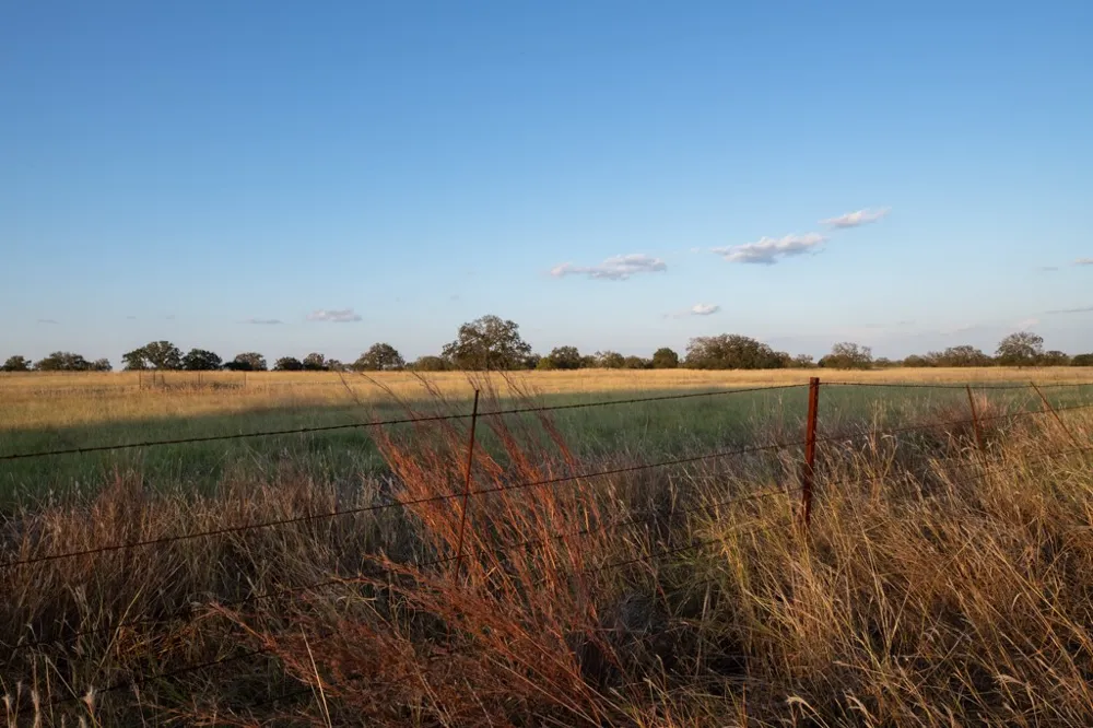 Address Not Shown Mason, TX 76842