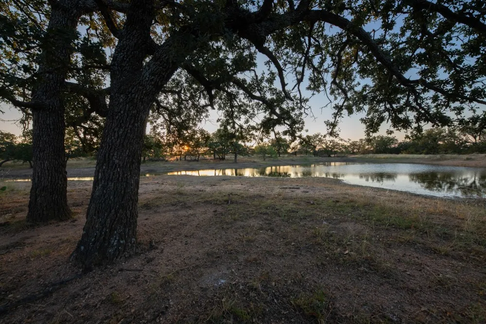 Address Not Shown Mason, TX 76842