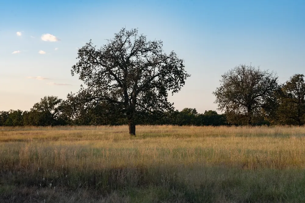Address Not Shown Mason, TX 76842