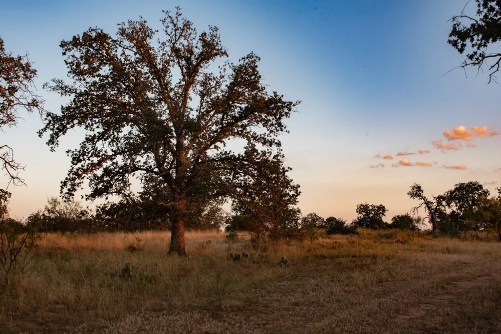 Address Not Shown Mason, TX 76842
