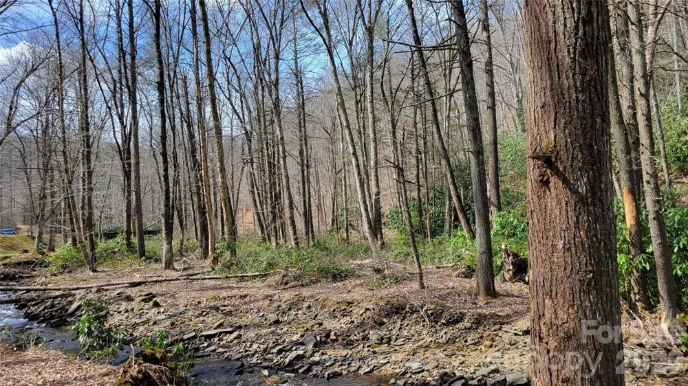 112 Rainbow Trout Road Burnsville, NC 28714