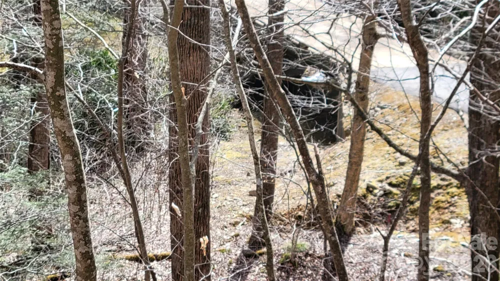 112 Rainbow Trout Road Burnsville, NC 28714