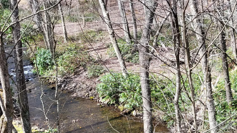 112 Rainbow Trout Road Burnsville, NC 28714