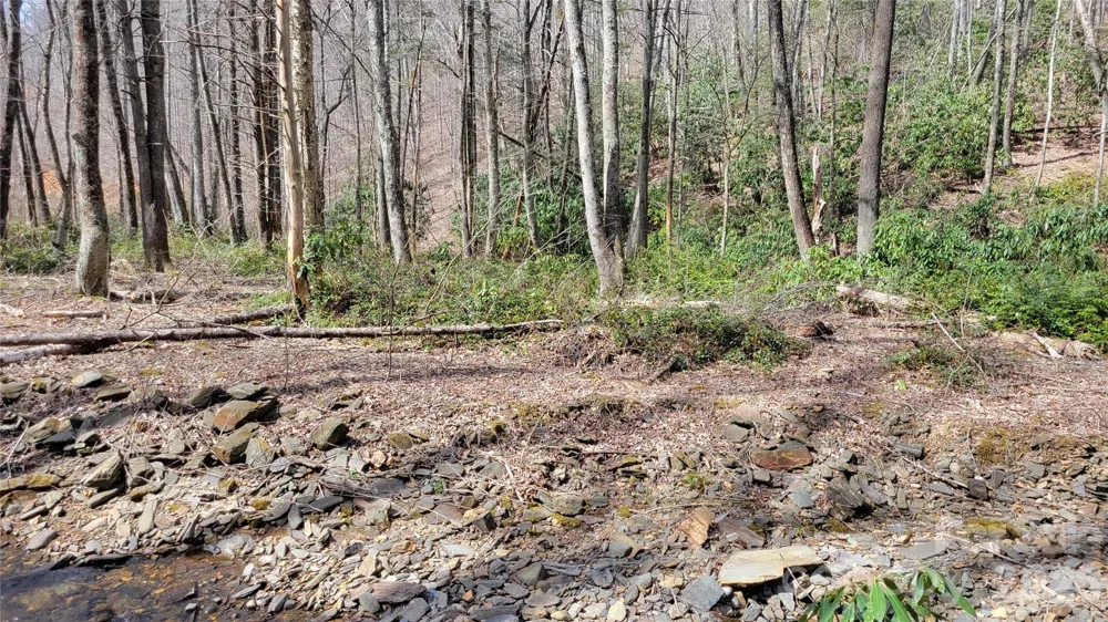 112 Rainbow Trout Road Burnsville, NC 28714