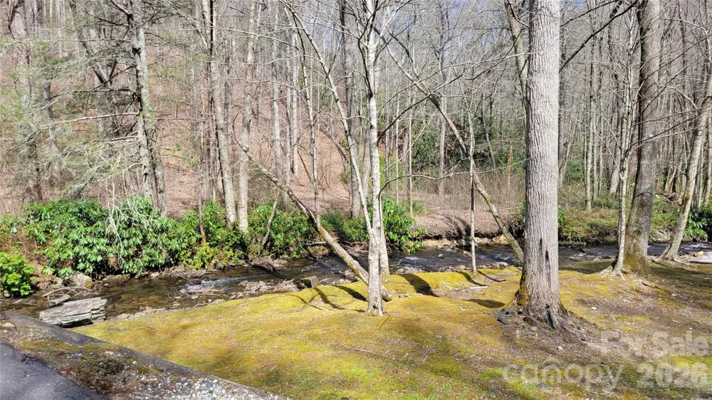 112 Rainbow Trout Road Burnsville, NC 28714
