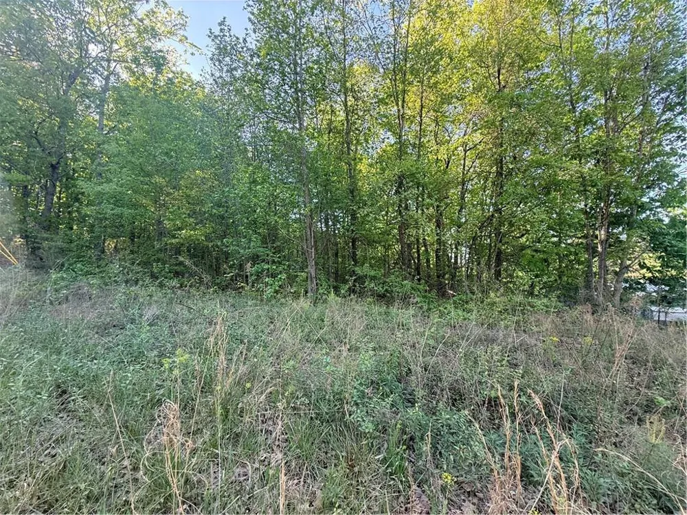0 Mountain View Circle Bremen, GA 30110
