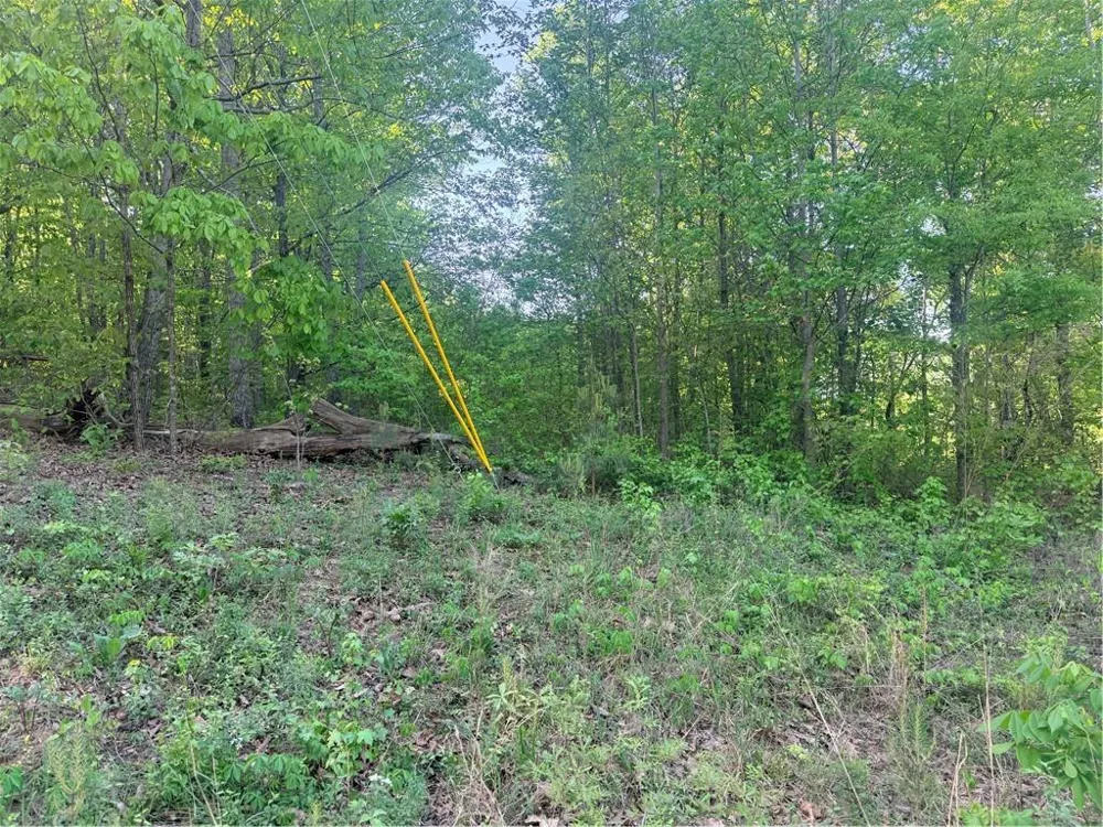 0 Mountain View Circle Bremen, GA 30110