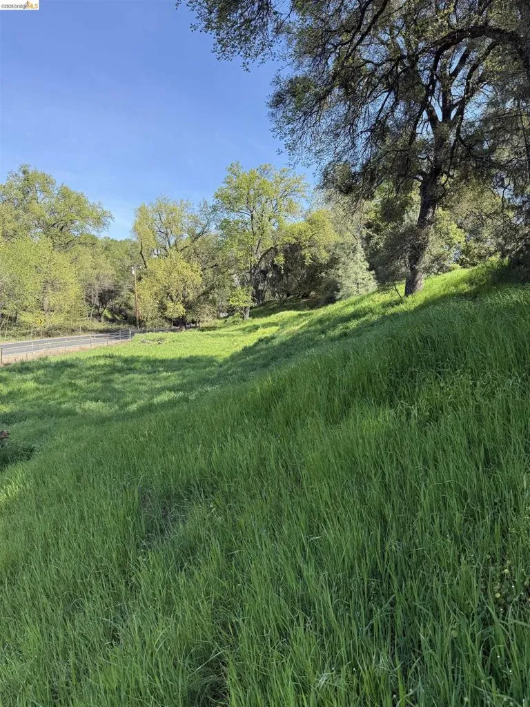 8534 Wilcox Ranch Road Sonora, CA 95370