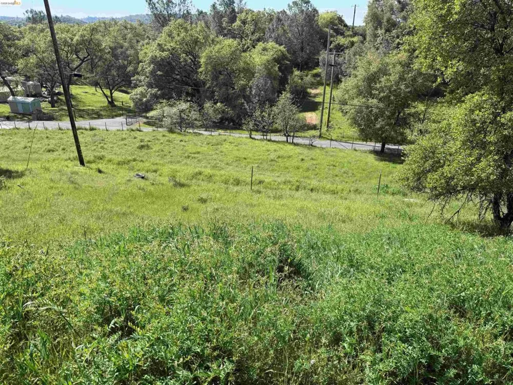 8534 Wilcox Ranch Road Sonora, CA 95370
