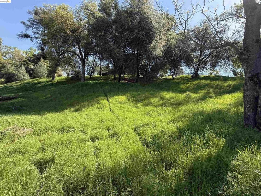 8534 Wilcox Ranch Road Sonora, CA 95370