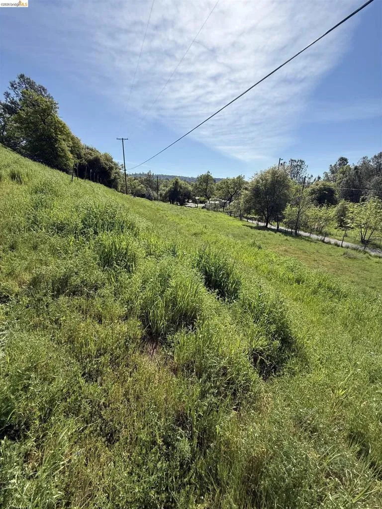 8534 Wilcox Ranch Road Sonora, CA 95370