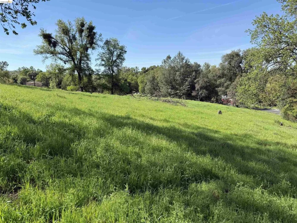 8534 Wilcox Ranch Road Sonora, CA 95370