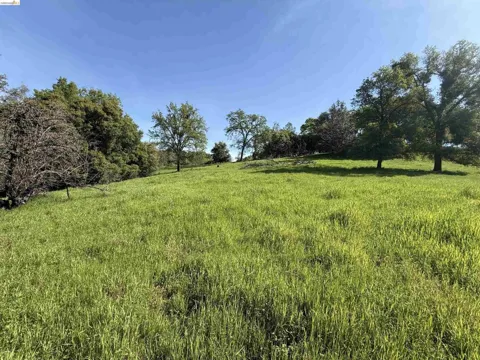 8534 Wilcox Ranch Road