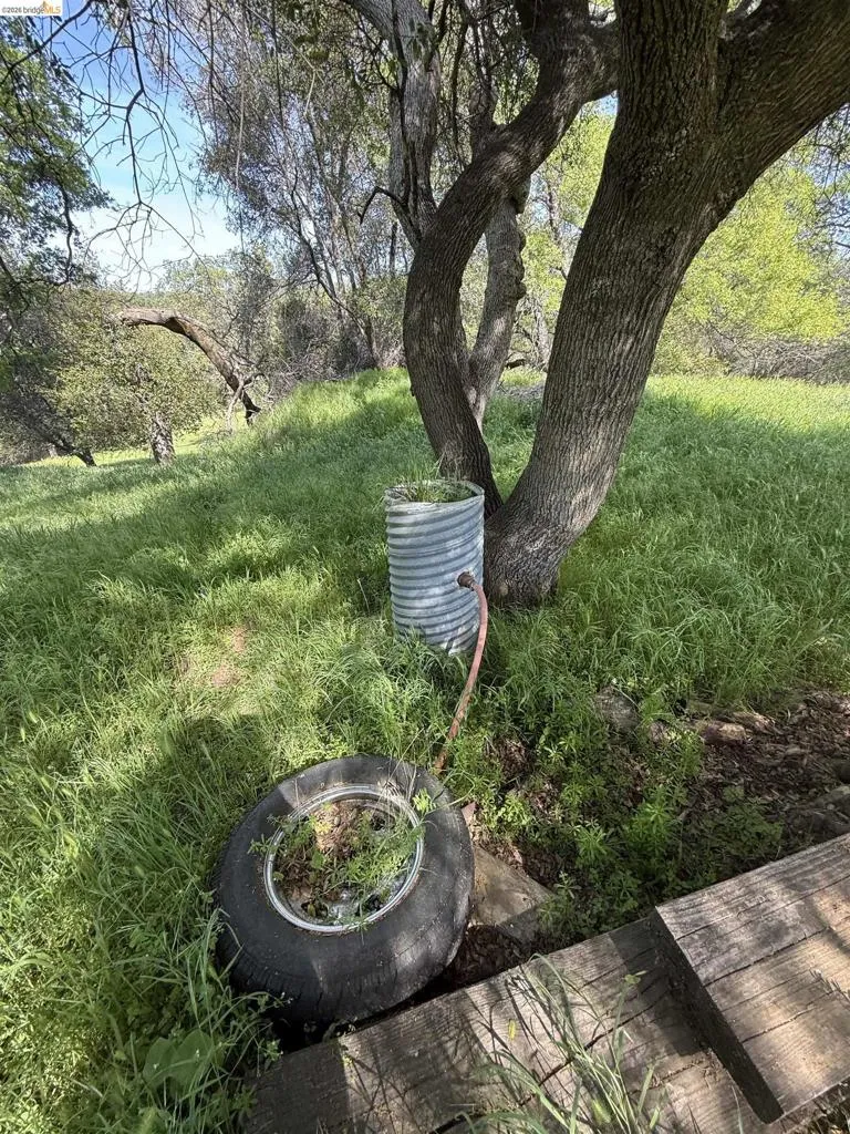 8534 Wilcox Ranch Road Sonora, CA 95370