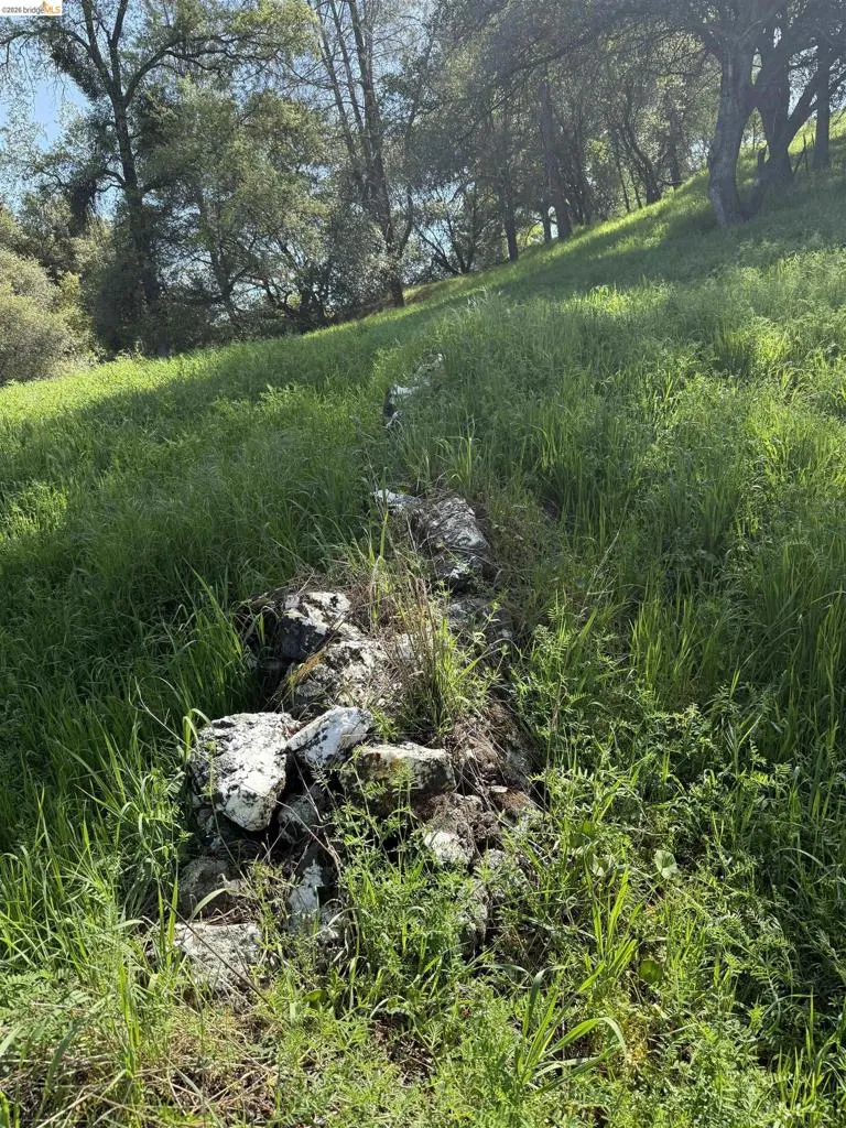 8534 Wilcox Ranch Road Sonora, CA 95370