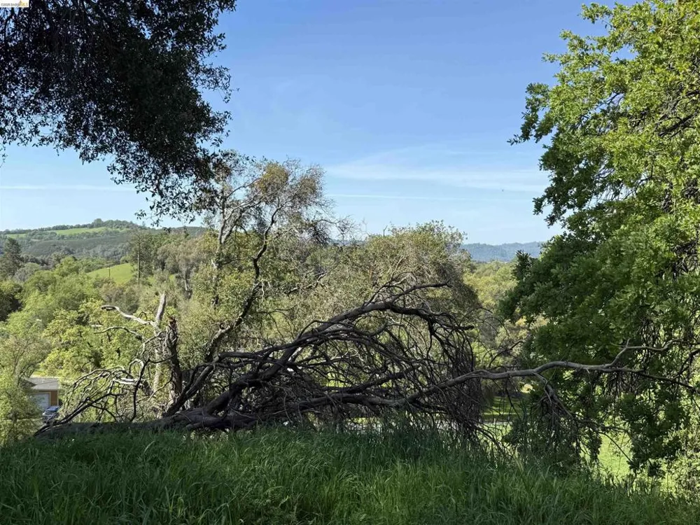 8534 Wilcox Ranch Road Sonora, CA 95370