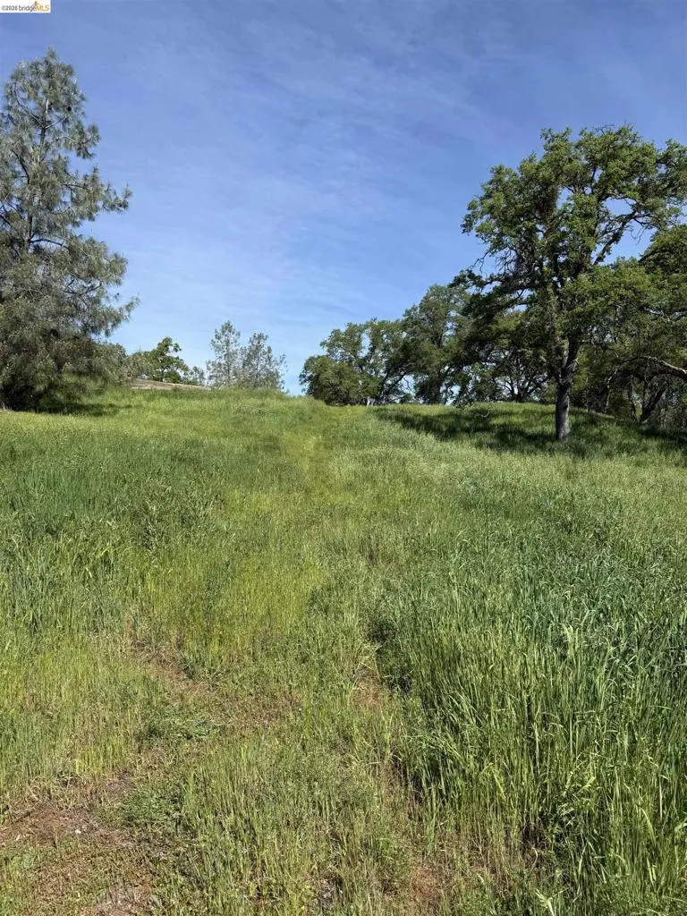 8534 Wilcox Ranch Road Sonora, CA 95370
