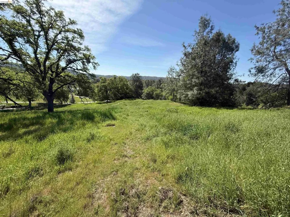 8534 Wilcox Ranch Road Sonora, CA 95370