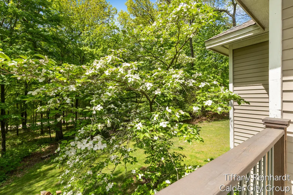 2760 Tyler Trail SE Lowell, MI 49331