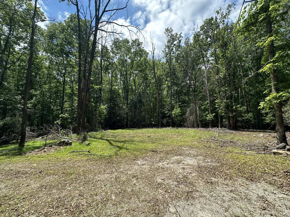 1911 Hickory Pl Monteagle, TN 37356