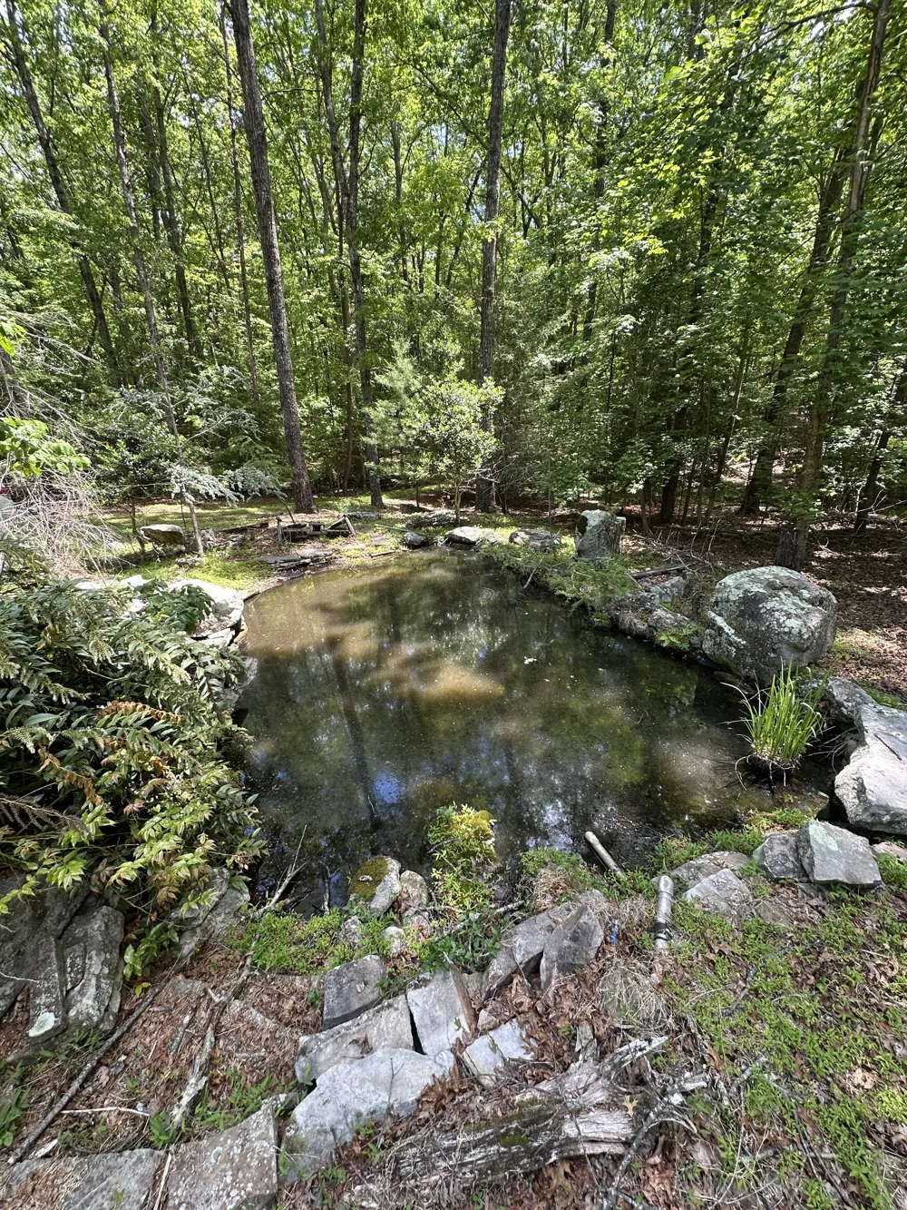 1911 Hickory Pl Monteagle, TN 37356