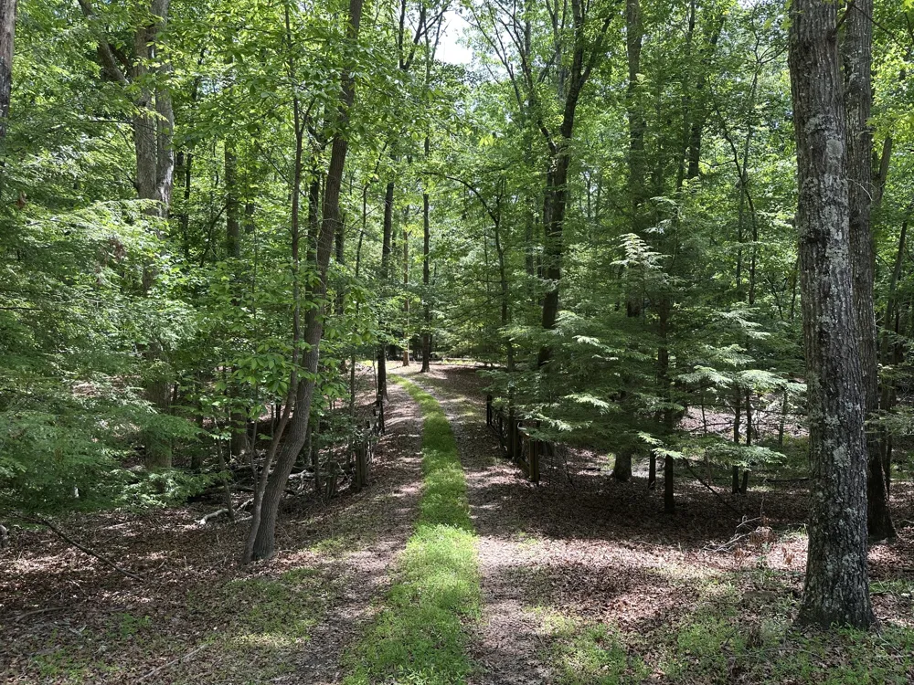 1911 Hickory Pl Monteagle, TN 37356
