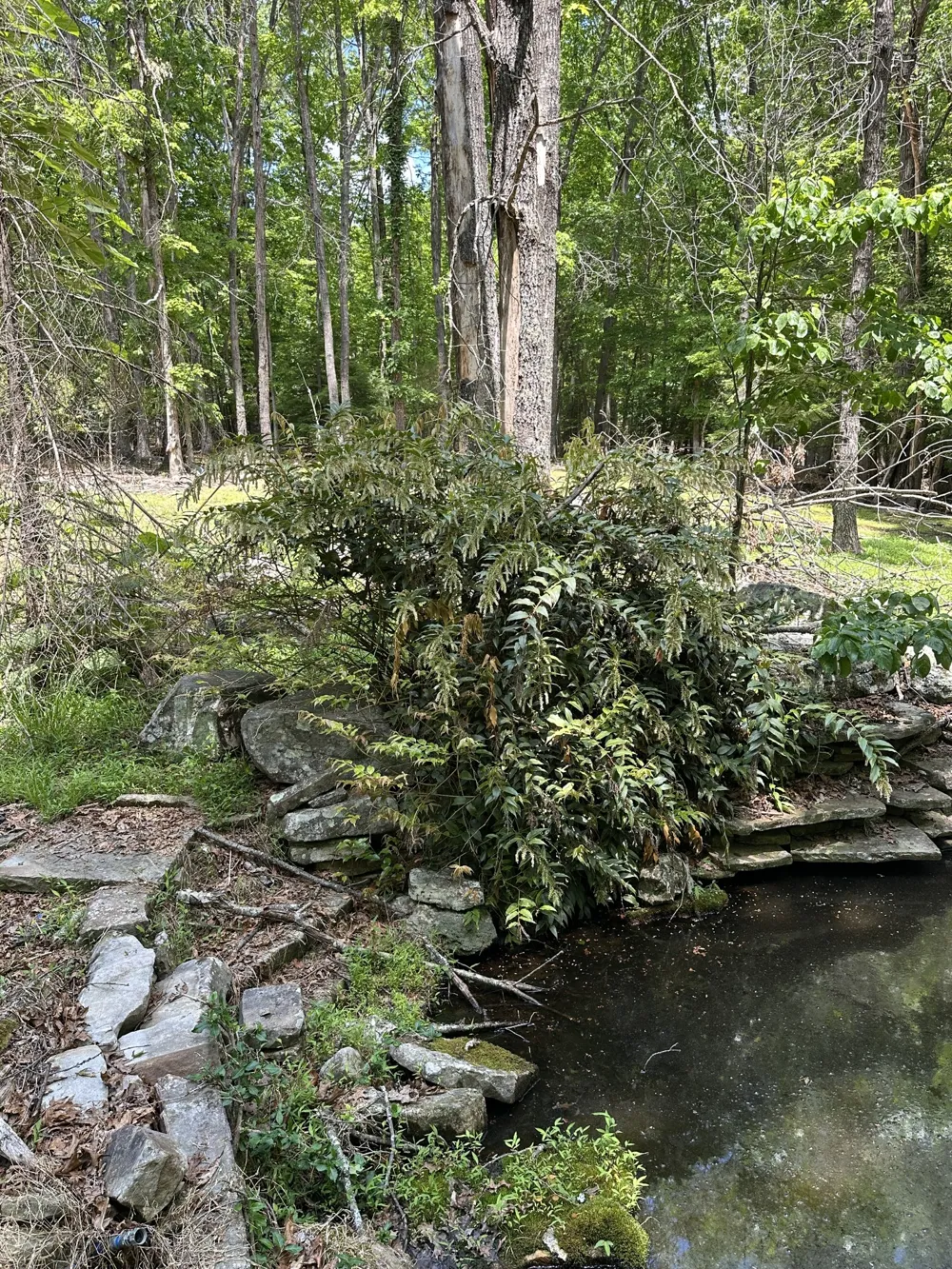 1911 Hickory Pl Monteagle, TN 37356