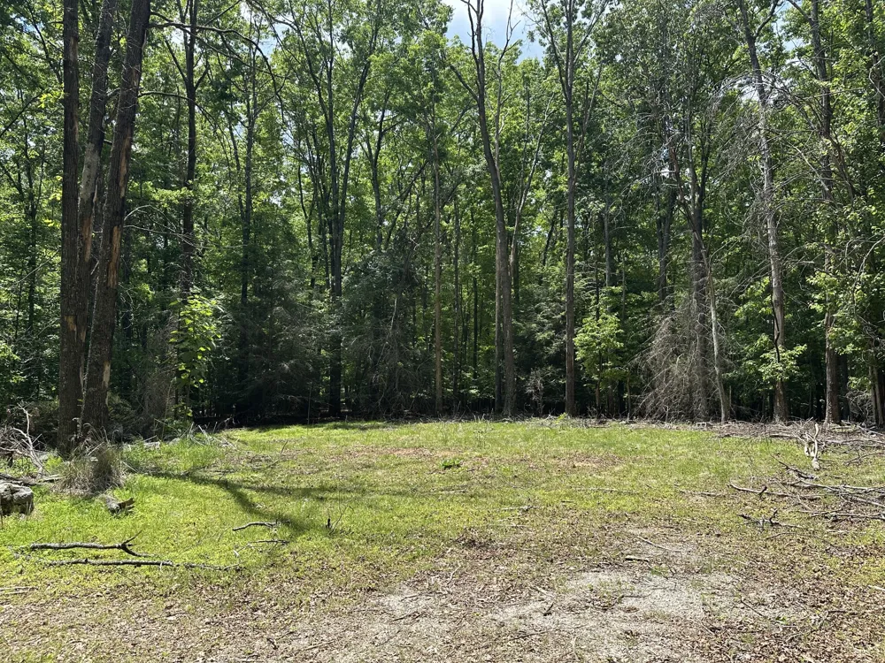 1911 Hickory Pl Monteagle, TN 37356