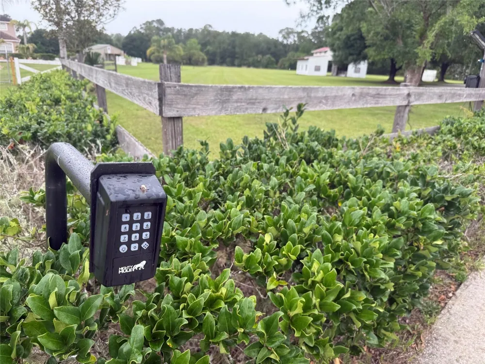 31405 BEAR POND DRIVE Sorrento, FL 32776