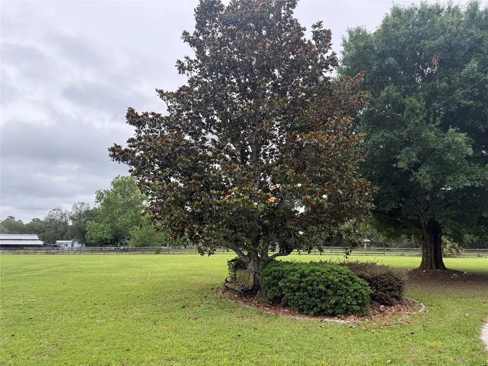 31405 BEAR POND DRIVE Sorrento, FL 32776