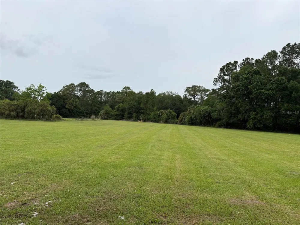 31405 BEAR POND DRIVE Sorrento, FL 32776