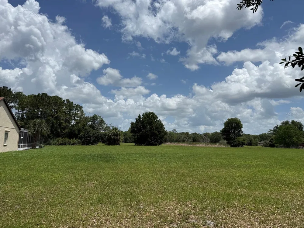 31405 BEAR POND DRIVE Sorrento, FL 32776
