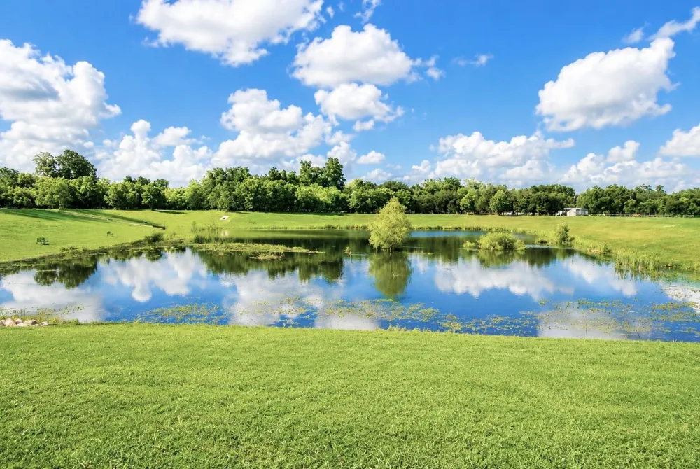 3302 Doe Haven Court Fulshear, TX 77441