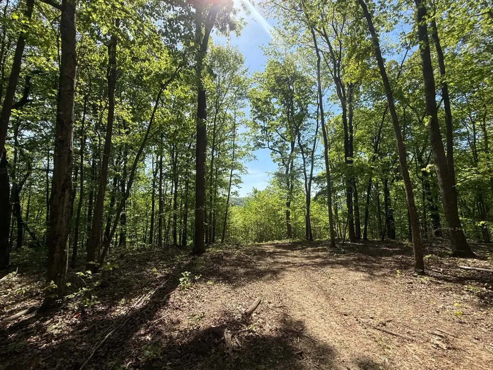 0 Laurel Lake Dr Monteagle, TN 37356