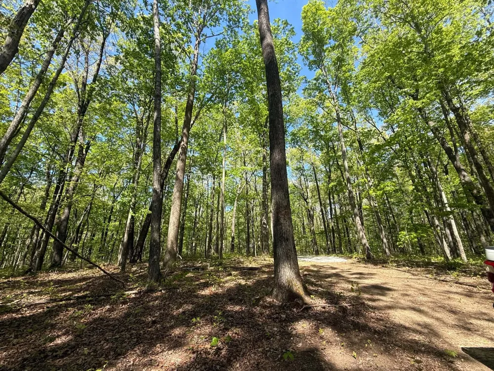 0 Laurel Lake Dr Monteagle, TN 37356