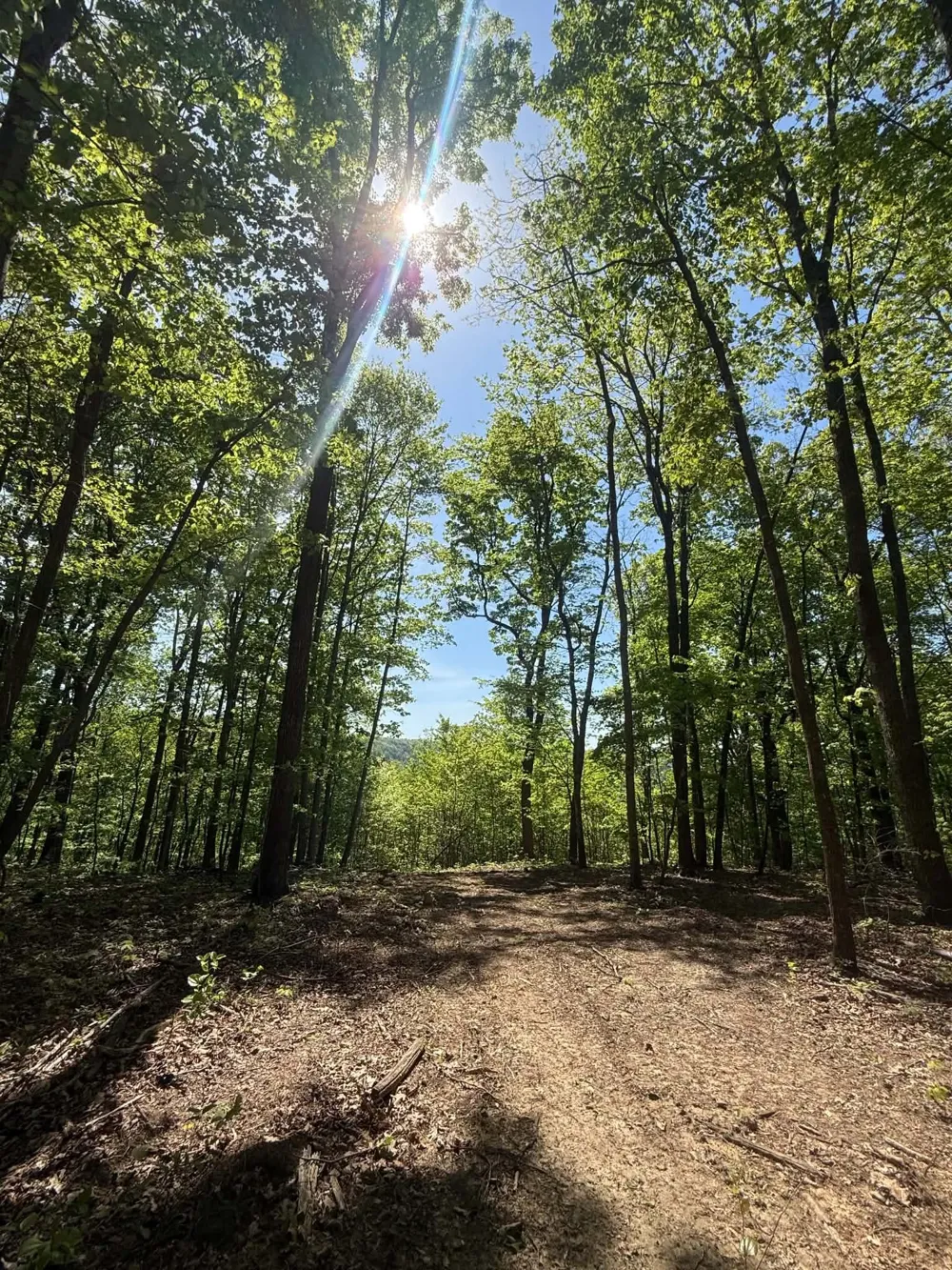 0 Laurel Lake Dr Monteagle, TN 37356