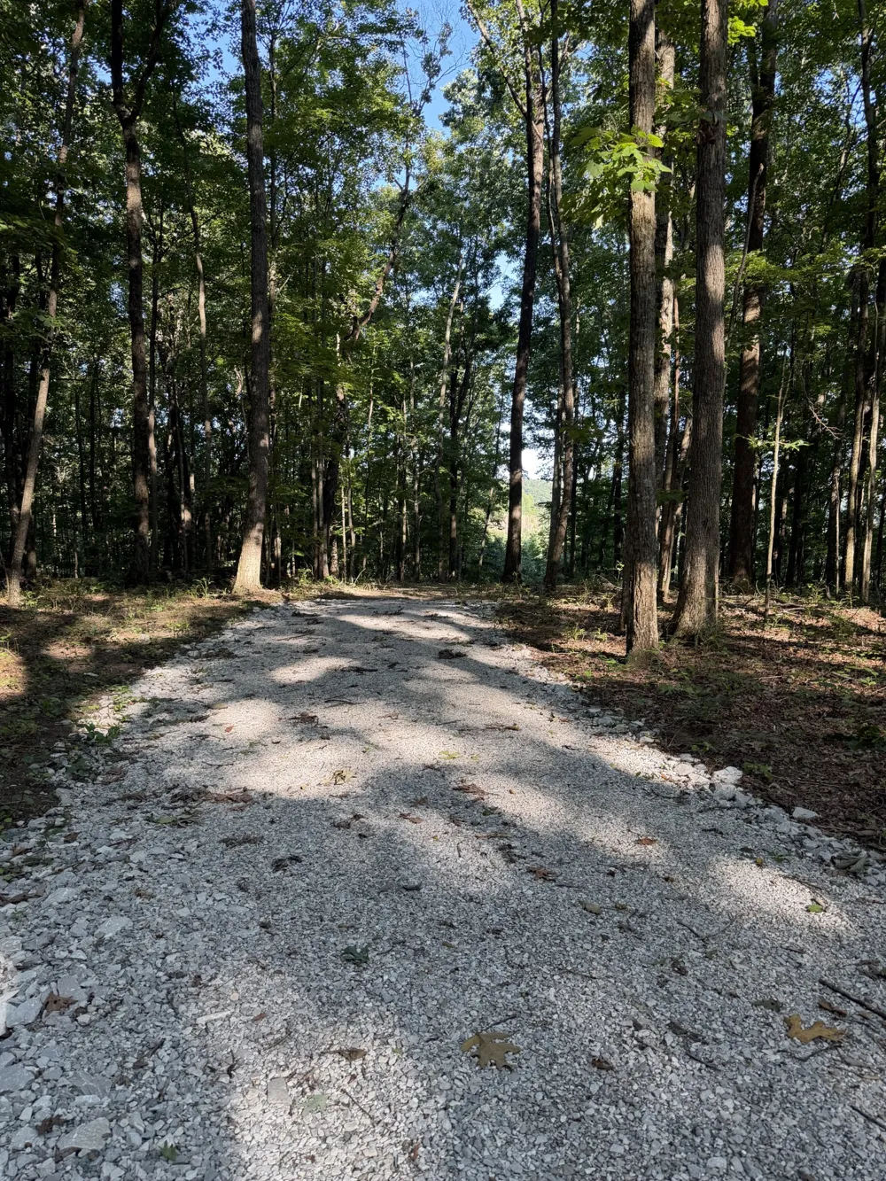 0 Laurel Lake Dr Monteagle, TN 37356